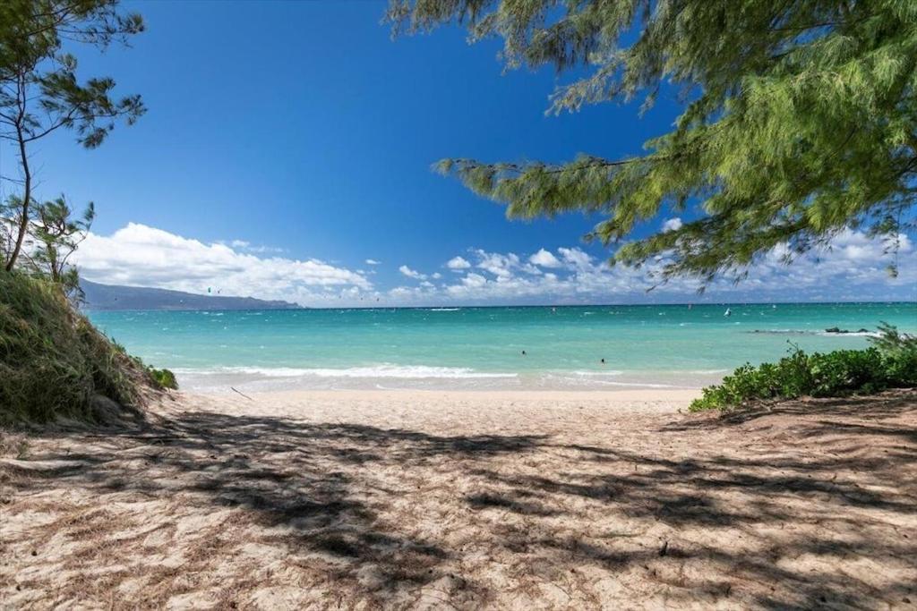 Unit 18 Maui Ohana Modern Studio Wailuku Экстерьер фото